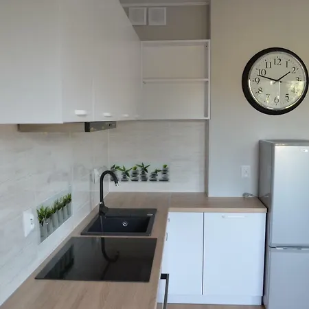 Jelitkowski Dwor Apartment *